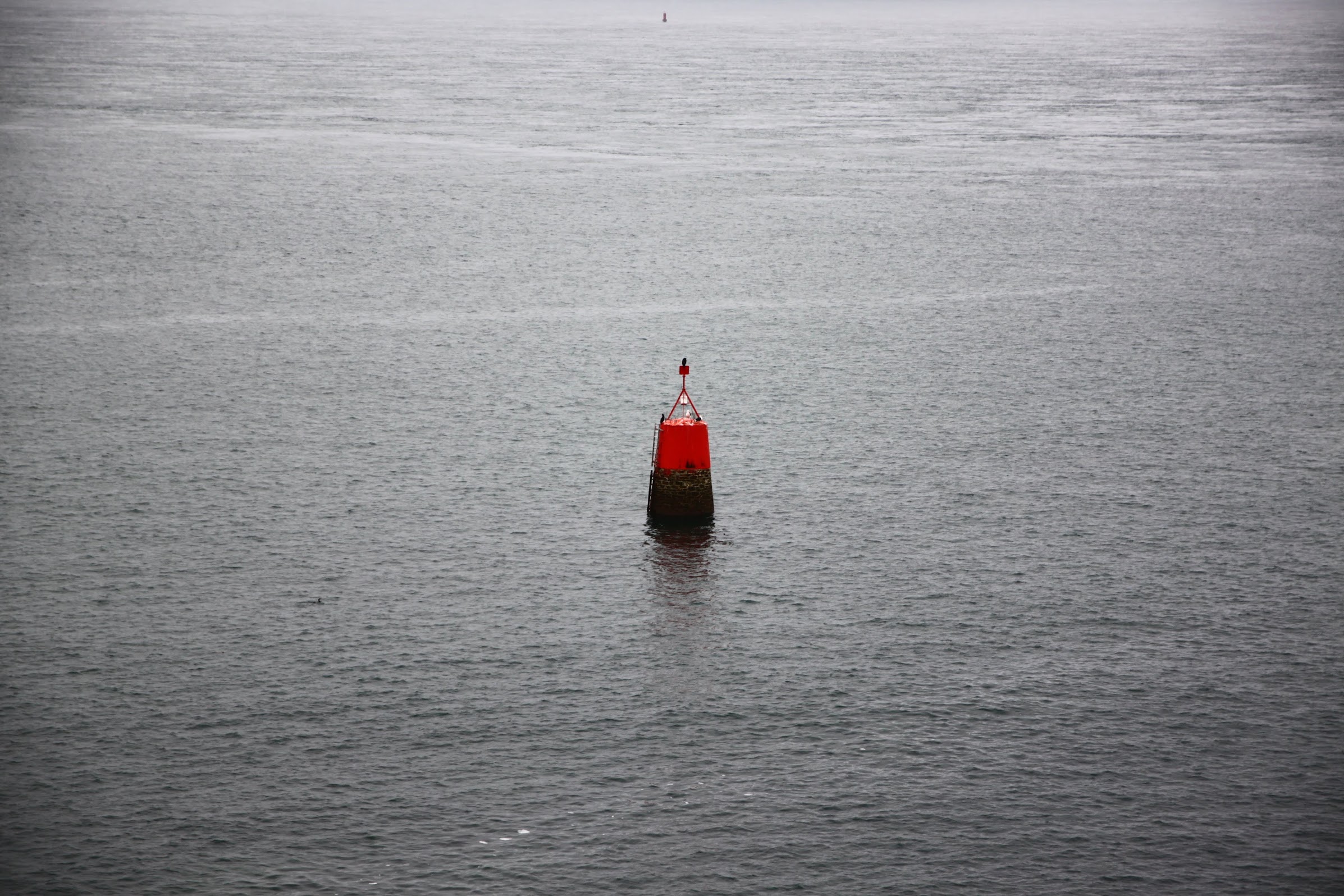 Cap sur… 2019